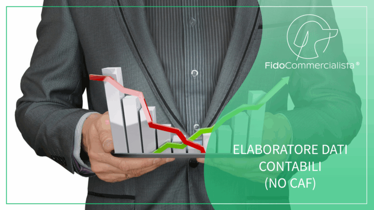 Elaboratore dati contabili (NO CAF)