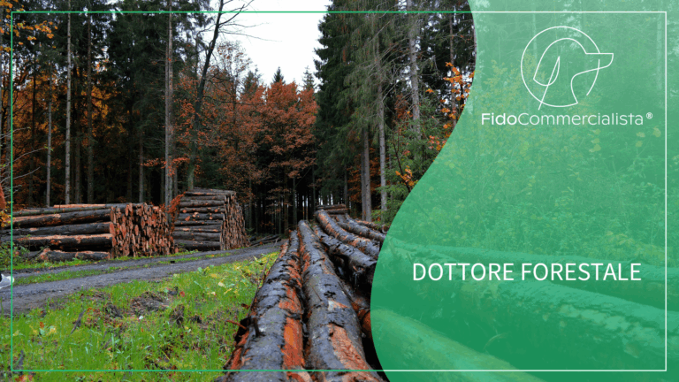 Dottore forestale